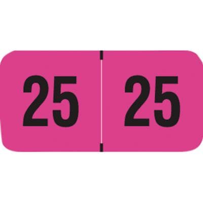 2025 Yearly Aging Labels, Fluorescent Series, Fluorescent Pink, 1-1/2" x 3/4", 500/Roll - 2025 Yearly Aging Labels - Fluorescent Series - 500/Roll - Fluorescent Pink, 500/Roll - Image 1