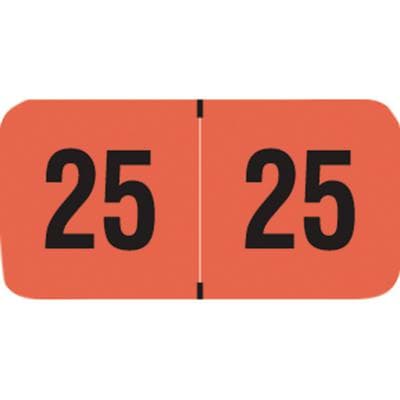 2025 Yearly Aging Labels, Fluorescent Series, Fluorescent Red, 1-1/2" x 3/4", 500/Roll - 2025 Yearly Aging Labels - Fluorescent Series - 500/Roll - Fluorescent Red, 500/Roll - Image 1