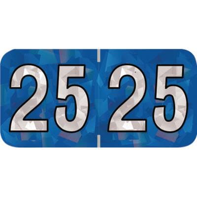 2025 Yearly Aging Labels, Holographic Series, Blue, 1-1/2" W x 3/4" H, 500/Roll - 2025 Yearly Aging Labels - Holographic Series - 500/Roll - Blue, 500/Roll - Image 1