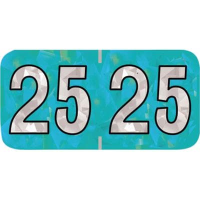 2025 Yearly Aging Labels, Holographic Series, Aqua, 1-1/2" x 3/4", 500/Roll - 2025 Yearly Aging Labels - Holographic Series - 500/Roll - Aqua, 500/Roll - Image 1