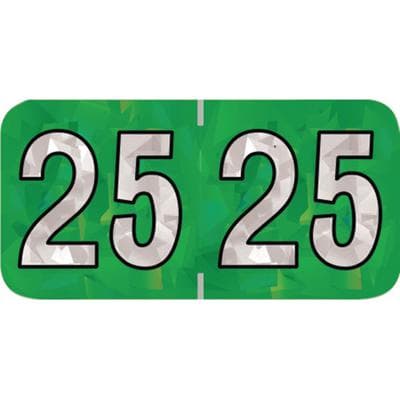 2025 Yearly Aging Labels, Holographic Series, Green, 1-1/2" x 3/4", 500/Roll - 2025 Yearly Aging Labels - Holographic Series - 500/Roll - Green, 500/Roll - Image 1