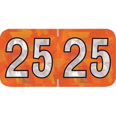 2025 Yearly Aging Labels, Holographic Series, Orange, 1-1/2" x 3/4", 500/Roll - 2025 Yearly Aging Labels - Holographic Series - 500/Roll - Orange, 500/Roll - Image 1