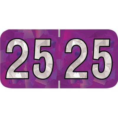 2025 Yearly Aging Labels, Holographic Series, Violet, 1-1/2" x 3/4", 500/Roll - 2025 Yearly Aging Labels - Holographic Series - 500/Roll - Violet, 500/Roll - Image 1