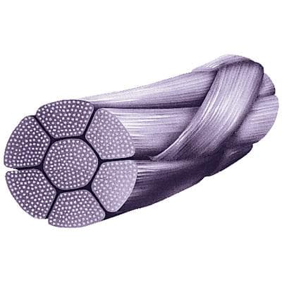Look PolySyn PGA Absorbable Braided Suture, Undyed, 4-0, 10 in (25 cm), C-17 Reverse Cutting 12 mm 3/8 Circle Needle, 12/Box, 386B thumbnail 10