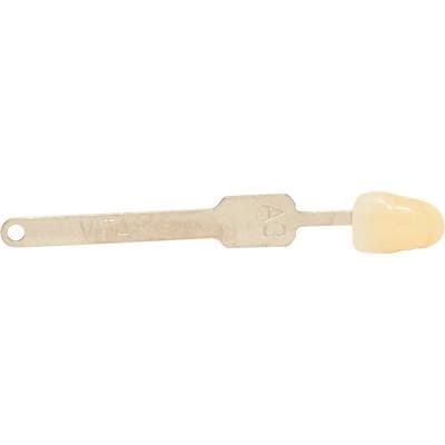 VITA Classical Shade Guide Tab Refill, Shade A3, 1 Each thumbnail 5
