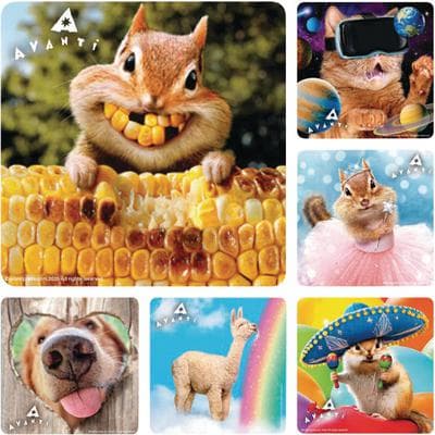 Licensed TV Cartoon Stickers, 2-1/2" W x 2-1/2" H, 6 Designs/Roll, 100/Roll - Avanti - Licensed TV Cartoon Stickers, 2-1/2 W x 2-1/2 H, 6 Designs/Roll, 100/Roll - Avanti - Image 1