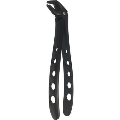 A. Titan Instruments Banditt Xtra Grip Forceps, Lower Molar, Ash Pattern, Serrated, 1/Pk, 7301 XG thumbnail 5