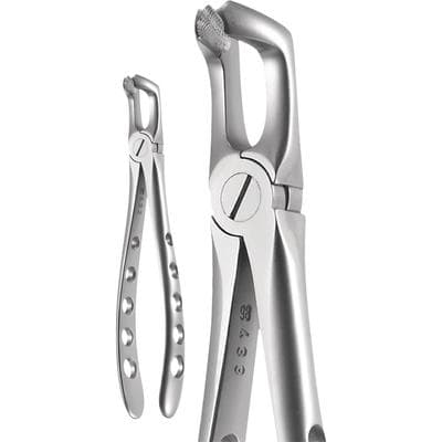 A. Titan Instruments X-Trac Lower Molar Extraction Forceps, Universal, Stainless Steel, Size 7900, 1 Each thumbnail 9