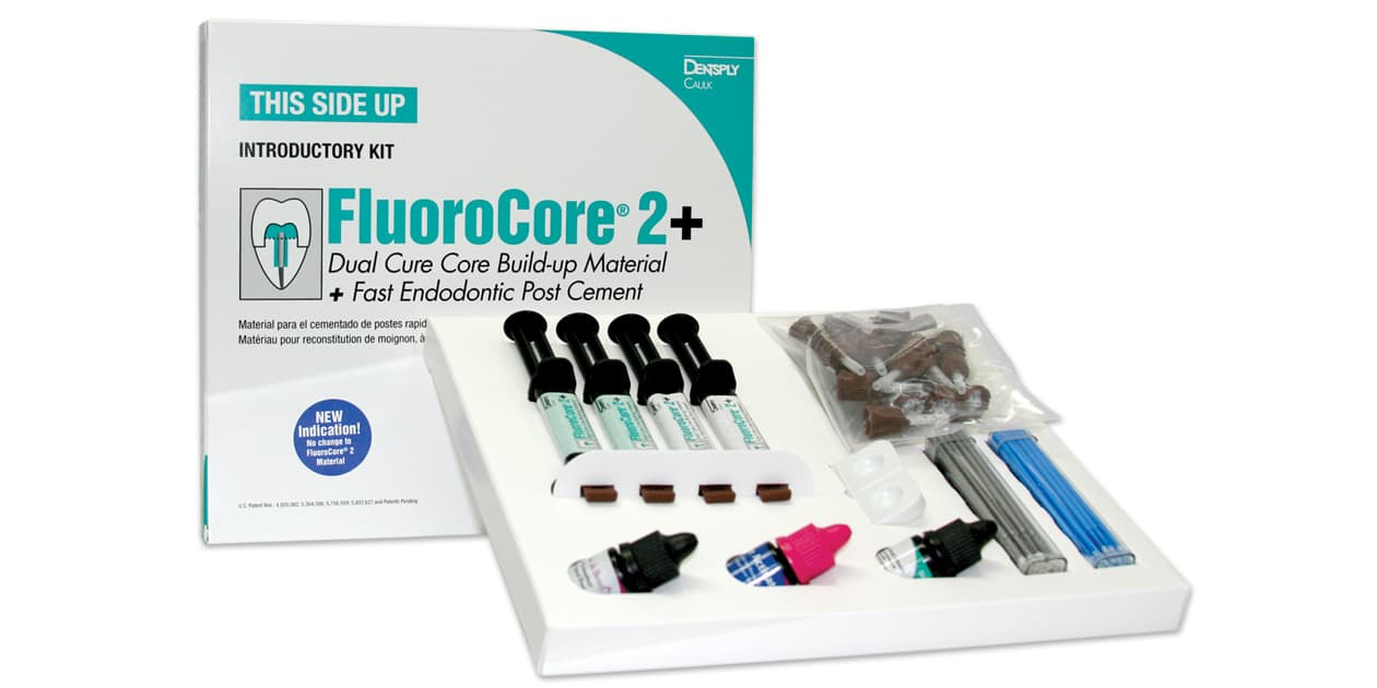 FluoroCore 2+ Core Build-Up Material, Dual-Cure, Regular Set, Syringe Refill, 4.75 g, Tooth Color, 4/Pk, 612401 thumbnail 14