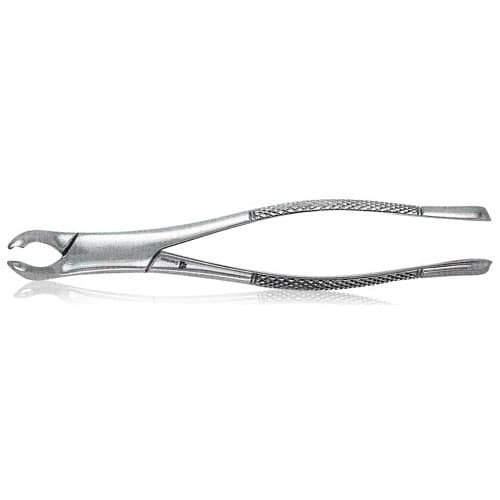 J&J Instruments Extracting Forceps #17, Universal, Straight Handle, Stainless Steel, Each, 05-170 thumbnail 2