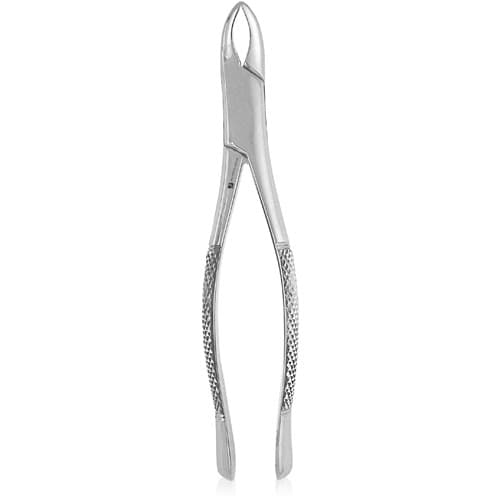 J&J Instruments #62 Extracting Forceps, Universal, Upper/Lower Incisor, Bicuspid, Deciduous, Stainless Steel, 1 Each, 05-620 thumbnail 2