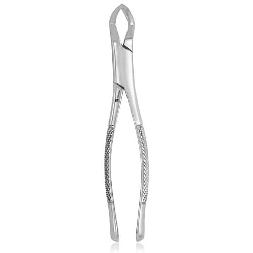 J&J Instruments Extracting Forceps #88R, Upper Right Molar, Stainless Steel, 05-885 thumbnail 2