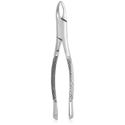 J&J Instruments #101 Universal Extracting Forceps, Stainless Steel, 1/Pkg, 06-101 thumbnail 2