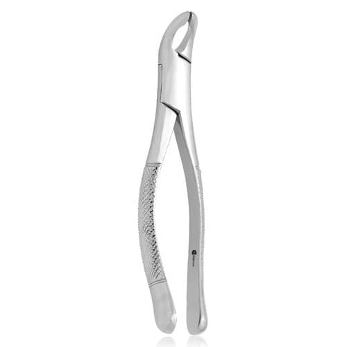 J&J Instruments Extracting Forceps #151A, Universal, Lower Bicuspid/Incisor, Stainless Steel, 1 Each (06-153) thumbnail 2