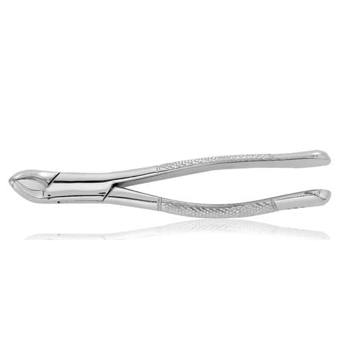 J&J Instruments Extracting Forceps #151 Serrated, Lower Bicuspid/Root, 420 Stainless Steel, 06-157 thumbnail 2