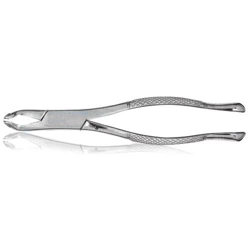 J&J Instruments Extracting Forceps #222, Universal, Lower 3rd Molar, Stainless Steel, 06-222 thumbnail 4