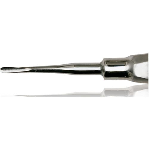 Premier Apical Elevator, Blunt, Single-End, Large Stainless Steel Handle, #304B, 1/Pk, 1003363 thumbnail 5