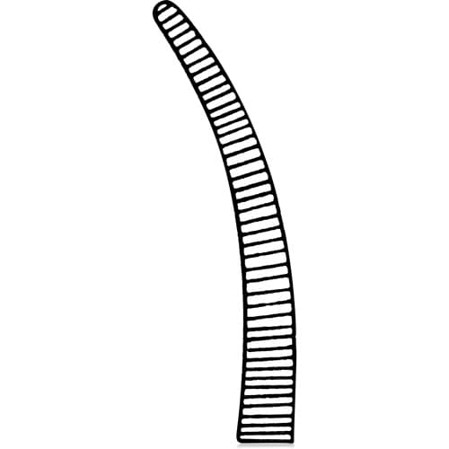 Hemostat Crile 5-1/2" Curved, Stainless Steel, Each, 24-1245 thumbnail 8