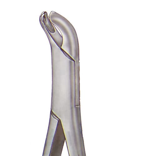US Elite Forceps 18R Right 1st/2nd Upper Molar Extraction Forceps, 43161 - US Elite - Forceps - Image 1