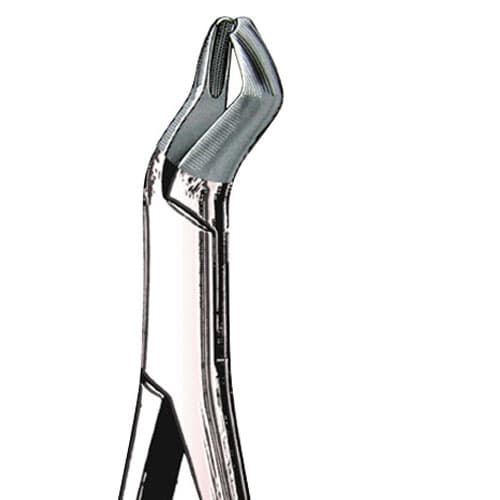 US Elite Forceps 53L Left 1st/2nd Upper Molar Extraction Forceps, 43181 - US Elite - Forceps - Image 1