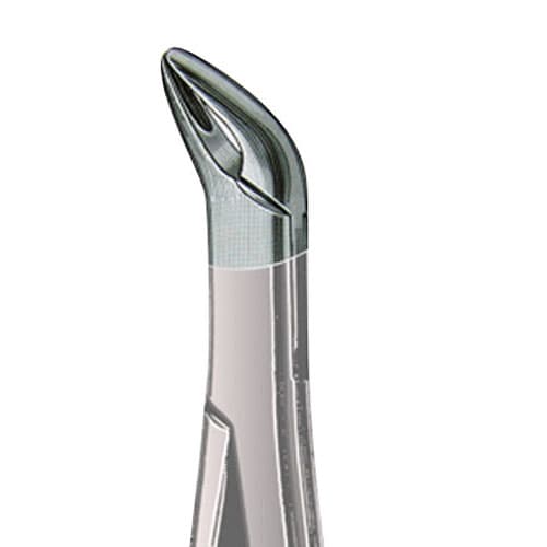 US Elite Forceps 151 Lower, 43281 - US Elite - Forceps - Image 1