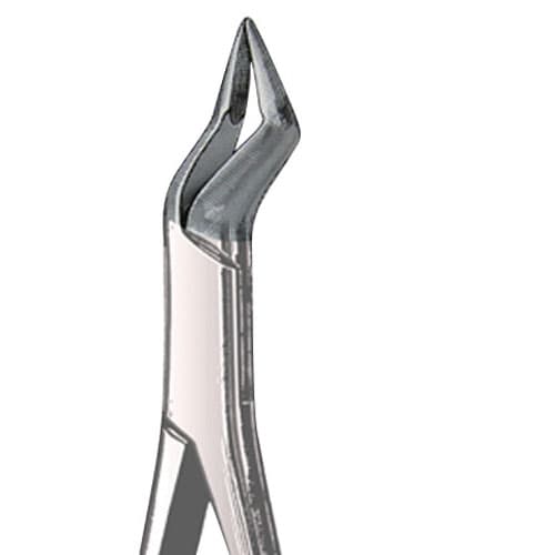 US Elite Forceps 32A Roots Universal 43341 - US Elite - Forceps - Image 1
