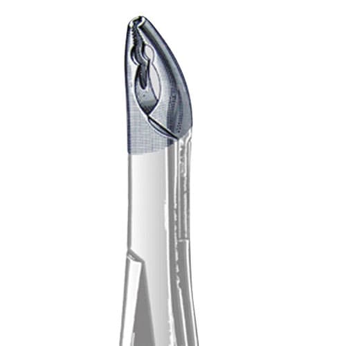US Elite Forceps 150AS Upper Universal Split, 43451 - US Elite - Forceps - Image 1