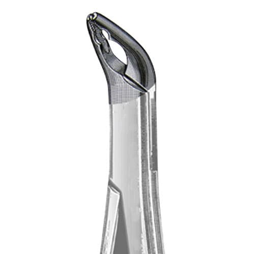US Elite Forceps 151AS Lower Split Beak Serrated, 43471 - US Elite - Forceps - Image 1