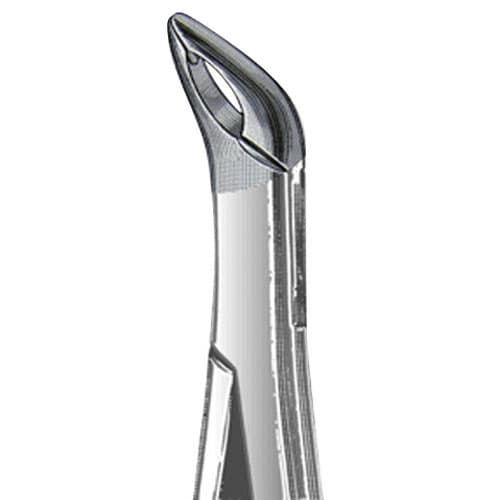 US Elite Forceps 203 Lower Roots Universal, 43491 - US Elite - Forceps - Image 1