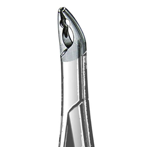 US Elite Forceps 150XAS Upper Pedo Split Beak, 43521 - US Elite - Forceps - Image 1