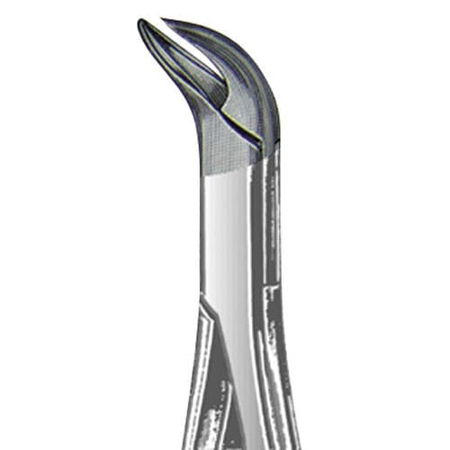 US Elite Forceps 23S Pedo Lower Molar, 4 3/4", Uni, 43561 - US Elite - Forceps - Image 1