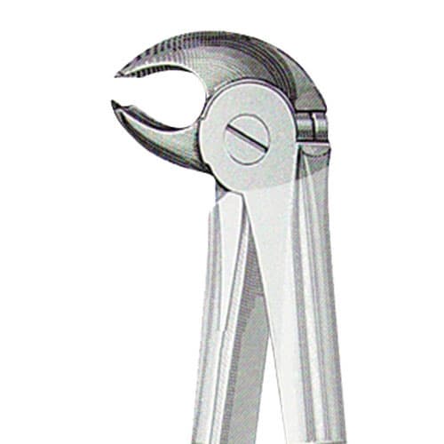 US Elite Forceps 22 Lower Universal Euro Style, 43591 - US Elite - Forceps - Image 1