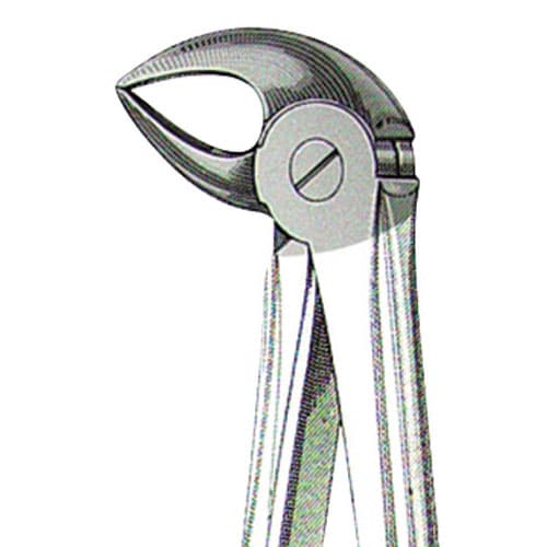 US Elite Forceps 33 European Lower Root, 43661 - US Elite - Forceps - Image 1