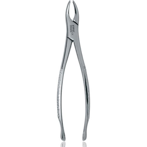 Premier Dental Products #150S Maxillary Extracting Forceps, Adult, Stainless Steel, 6", 9065034 thumbnail 4