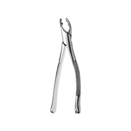 Hu-Friedy 151AS Split Beak Extraction Forceps, Serrated, Lower Anteriors and Premolars, F151AS thumbnail 4