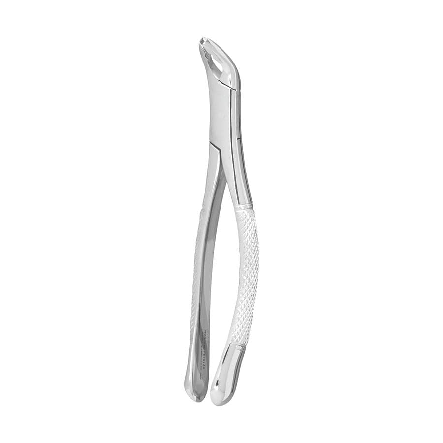 Nordent Extraction Forceps, Lower Universal Anatomical Beaks, Serrated, Stainless Steel, #151AS thumbnail 3
