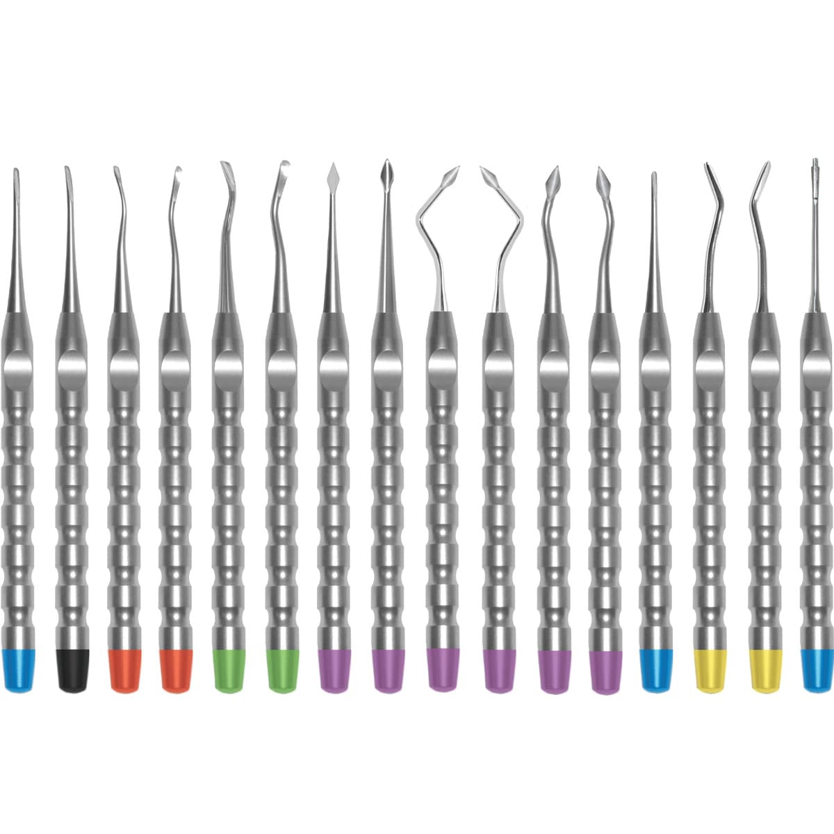 X-Otome Beveled Spade Angled Distal, Purple End Cap, Stainless Steel, Each thumbnail 3