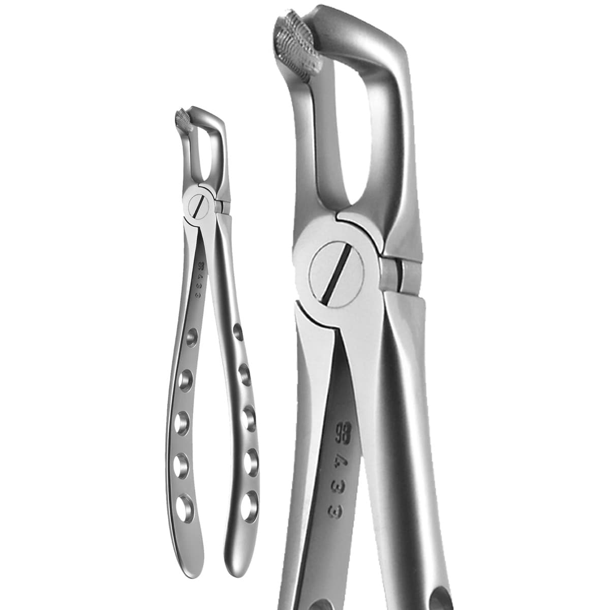A. Titan Instruments X-Trac Lower Molar Extraction Forceps, Universal, Stainless Steel, Size 7900, 1 Each thumbnail 7