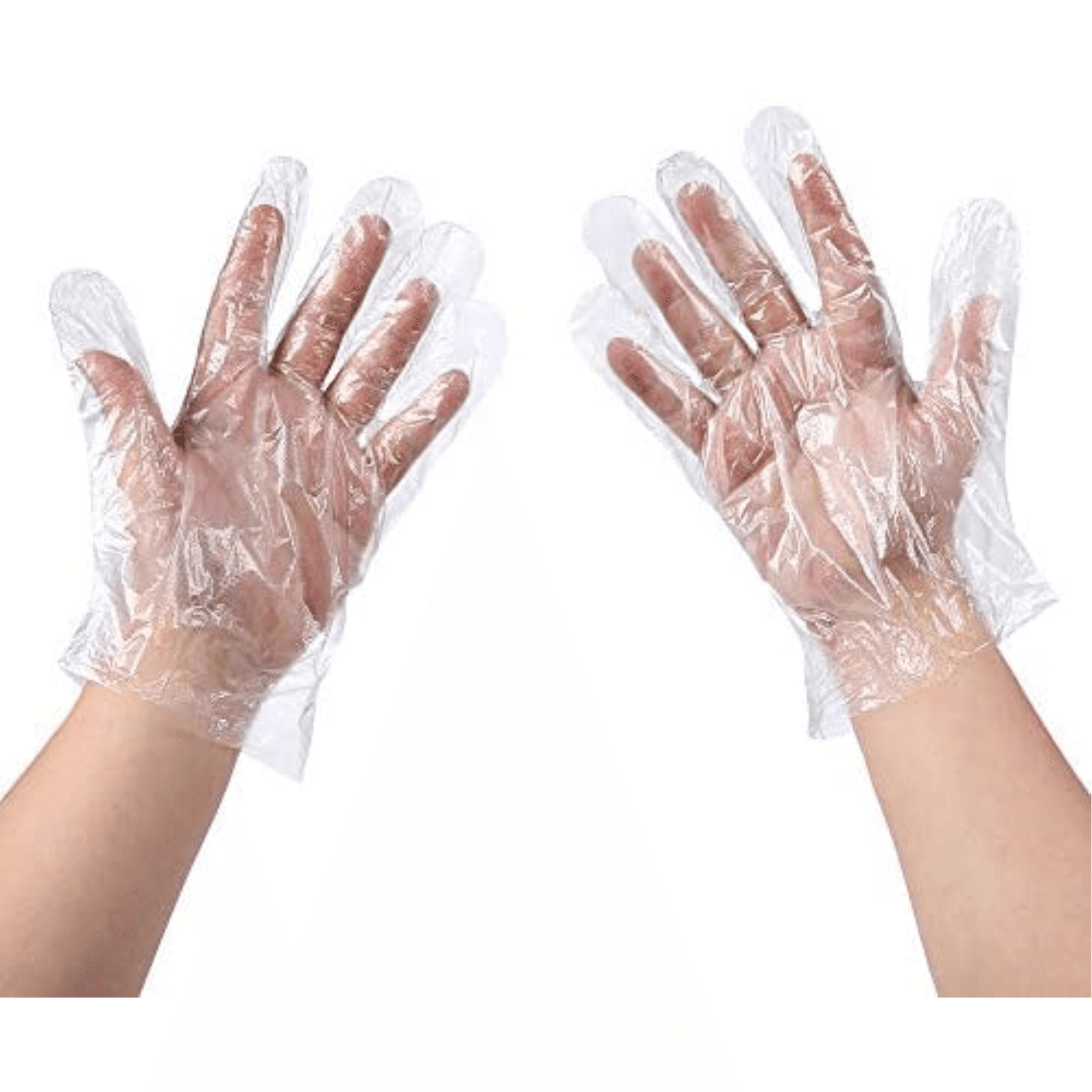 Latindo Disposable Plastic Overgloves, Medium, Clear, Ambidextrous, 100/Box, 900LX-M thumbnail 3
