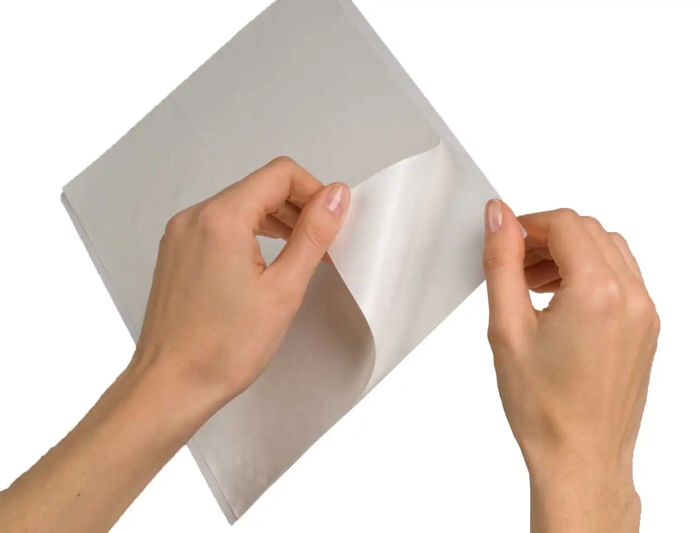 ScanX Phosphor Plate Cleaning Sheets, 12/Pkg, B2010 thumbnail 3