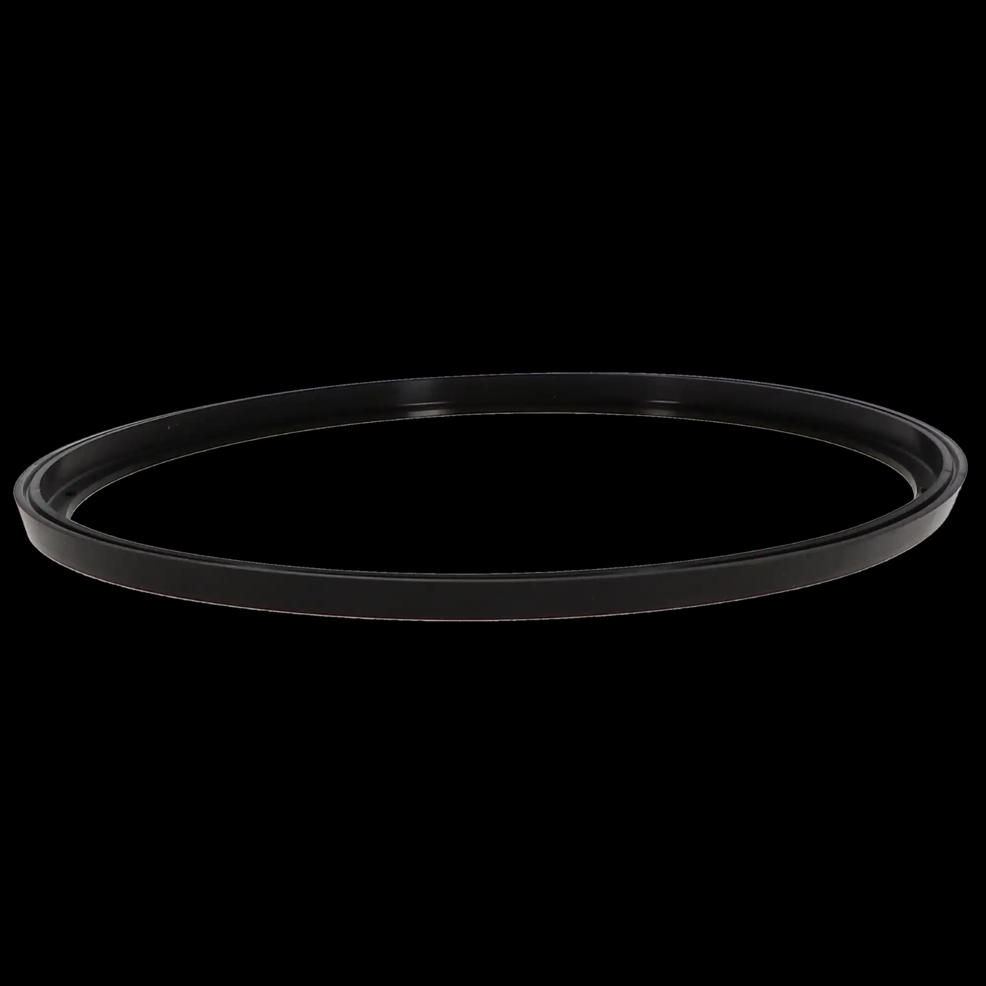 DCI International Sterilizer Gasket for A-dec/W&H Lisa MB17, 1/Pk, PN 2186 - Gasket for A-Dec/W&H Lisa MB17 Sterilizer, 1/Pk, 2186 - Image 1