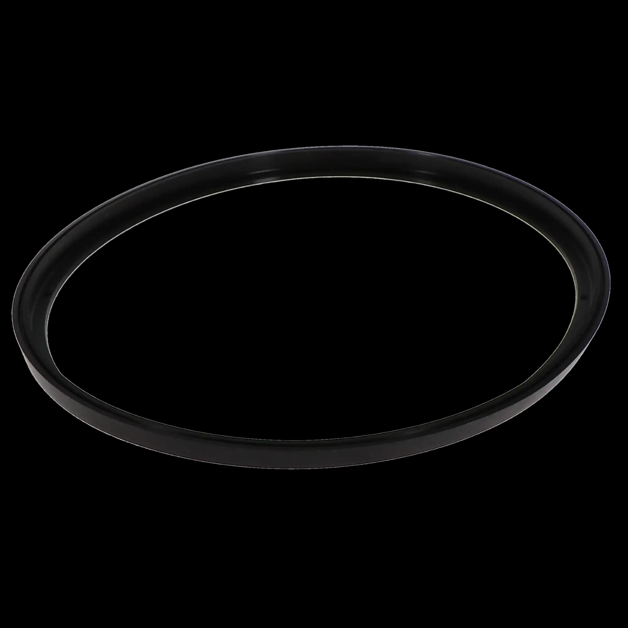 DCI International Sterilizer Gasket for A-dec/W&H Lisa MB17, 1/Pk, PN 2186 thumbnail 2