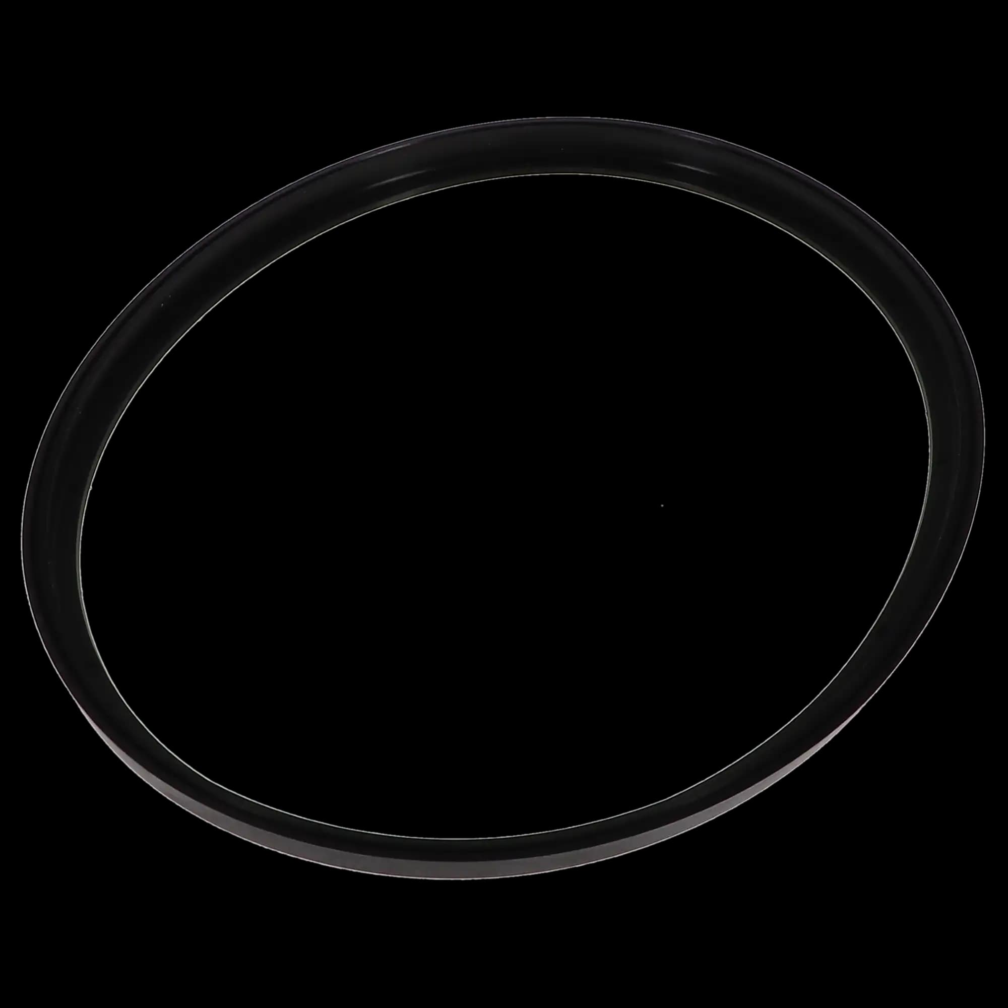 DCI International Sterilizer Gasket for A-dec/W&H Lisa MB17, 1/Pk, PN 2186 thumbnail 3