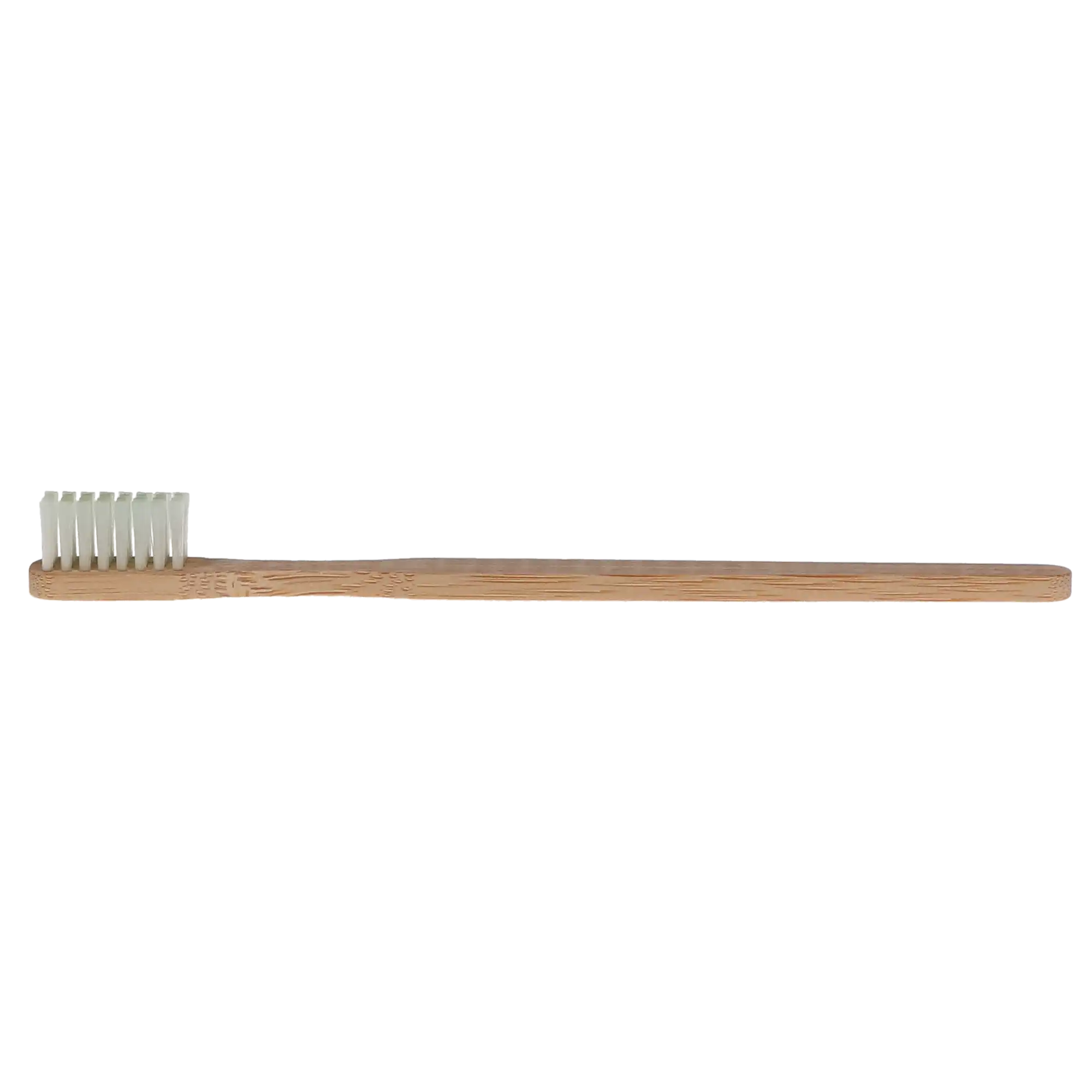 OraBrite Bamboo Prepasted Toothbrush, Mint, 144/Box, ORA22917 - Bamboo Prepasted Toothbrush, Mint, 144/Box, ORA22917 - Image 1