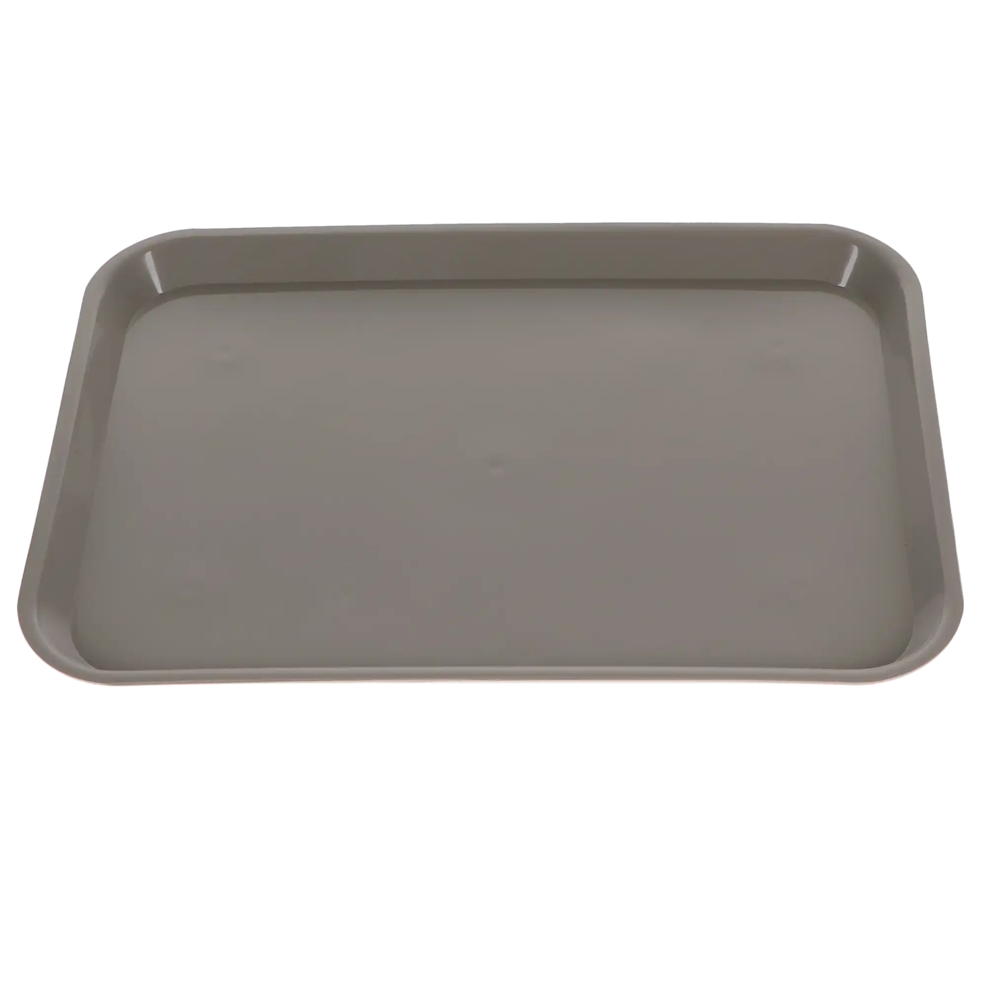 Plasdent Set-Up Plastic Flat Tray, Size B (Ritter), Gray, 13-1/2" x 9-5/8" x 7/8", 1/Pk, 300BF-9 thumbnail 2