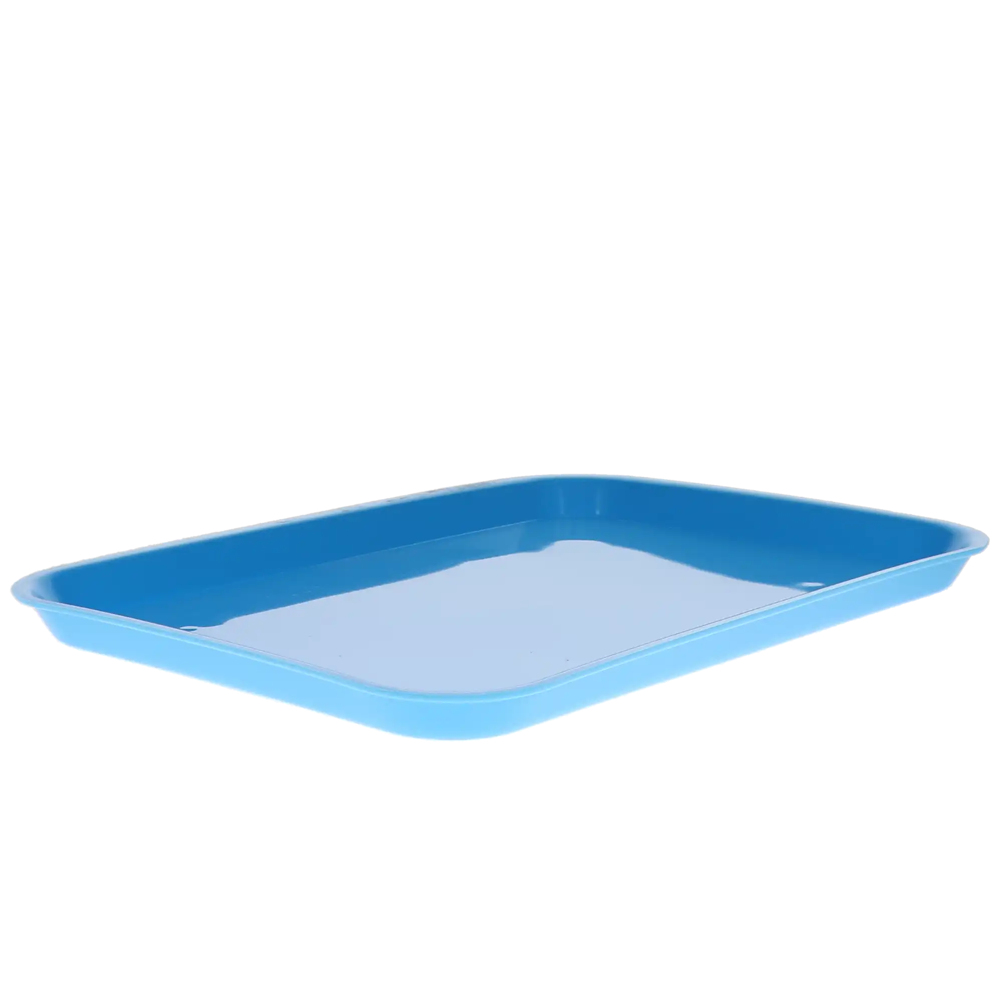 Plasdent Set-Up Plastic Flat Tray, Size B (Ritter), Neon Blue, 13-1/2" x 9-5/8" x 7/8", 1/Pk, 300BFS-2 thumbnail 3