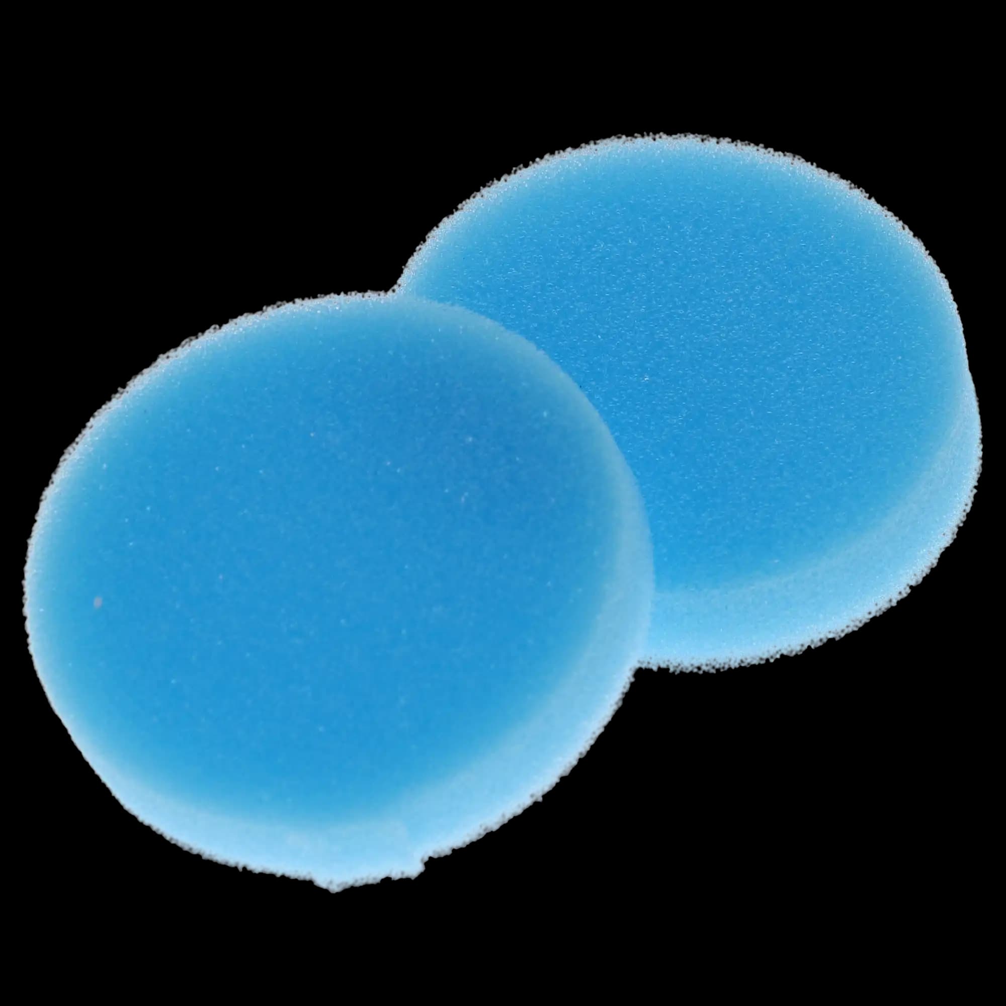 Plasdent Endo Foam Inserts, Round, Blue, 48/Pack thumbnail 2
