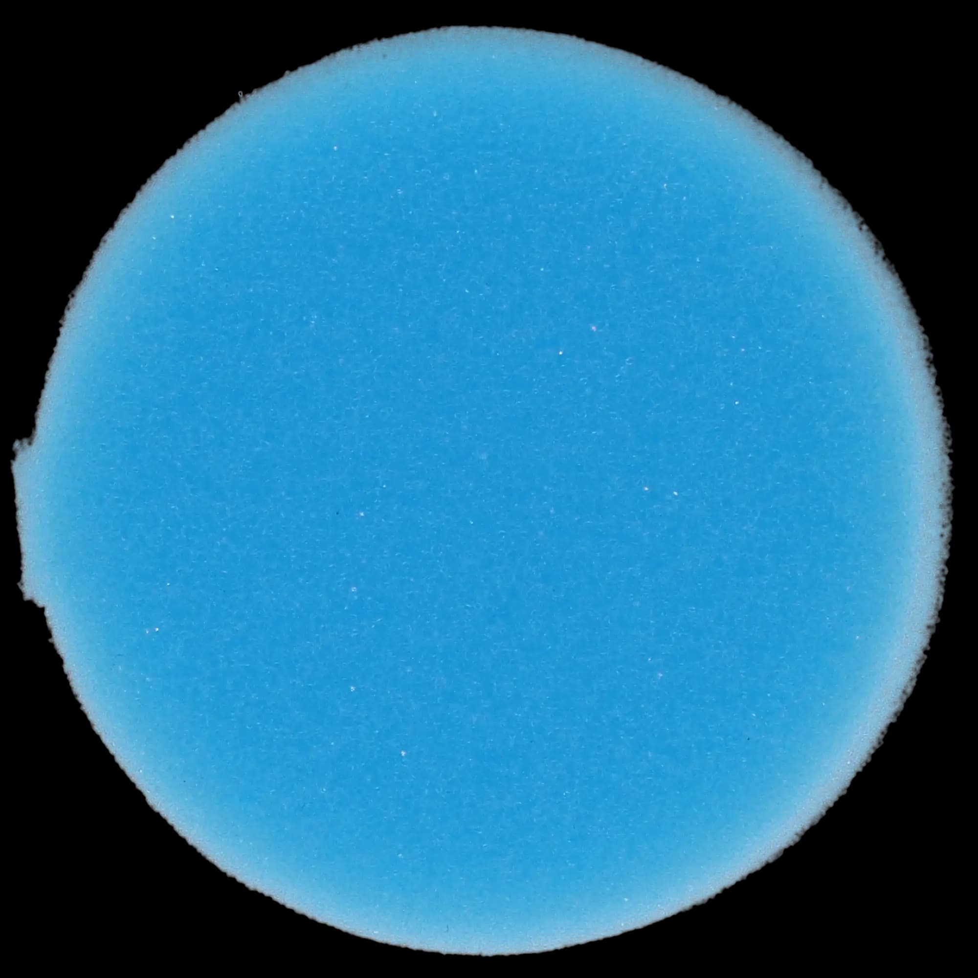Plasdent Endo Foam Inserts, Round, Blue, 48/Pack thumbnail 5