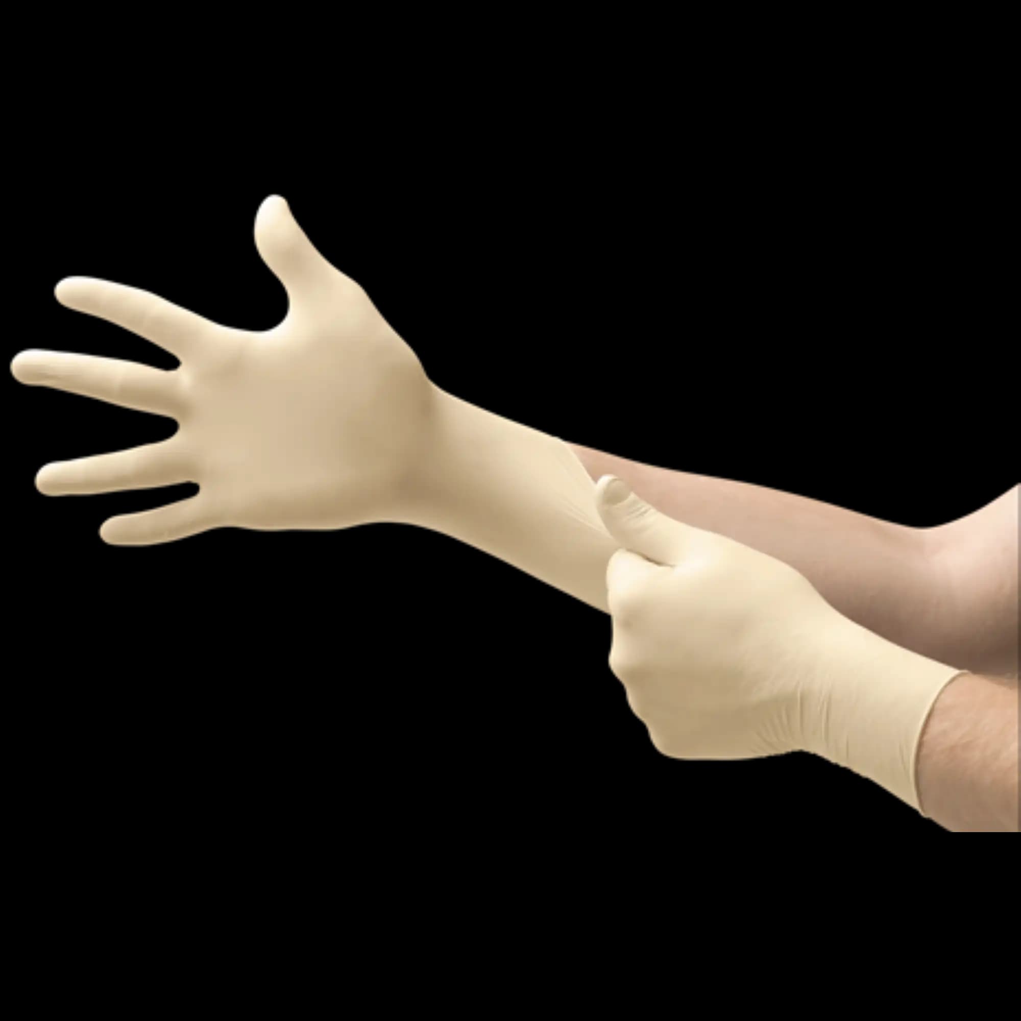 Blossom Powder-Free Latex Examination Gloves, X-Small, Non-Sterile, Ambidextrous, Beaded Cuff, 100/Box, BM-6225 - Blossom PF Latex Glove X-Small 100/Bx, BM-6225 - Image 1