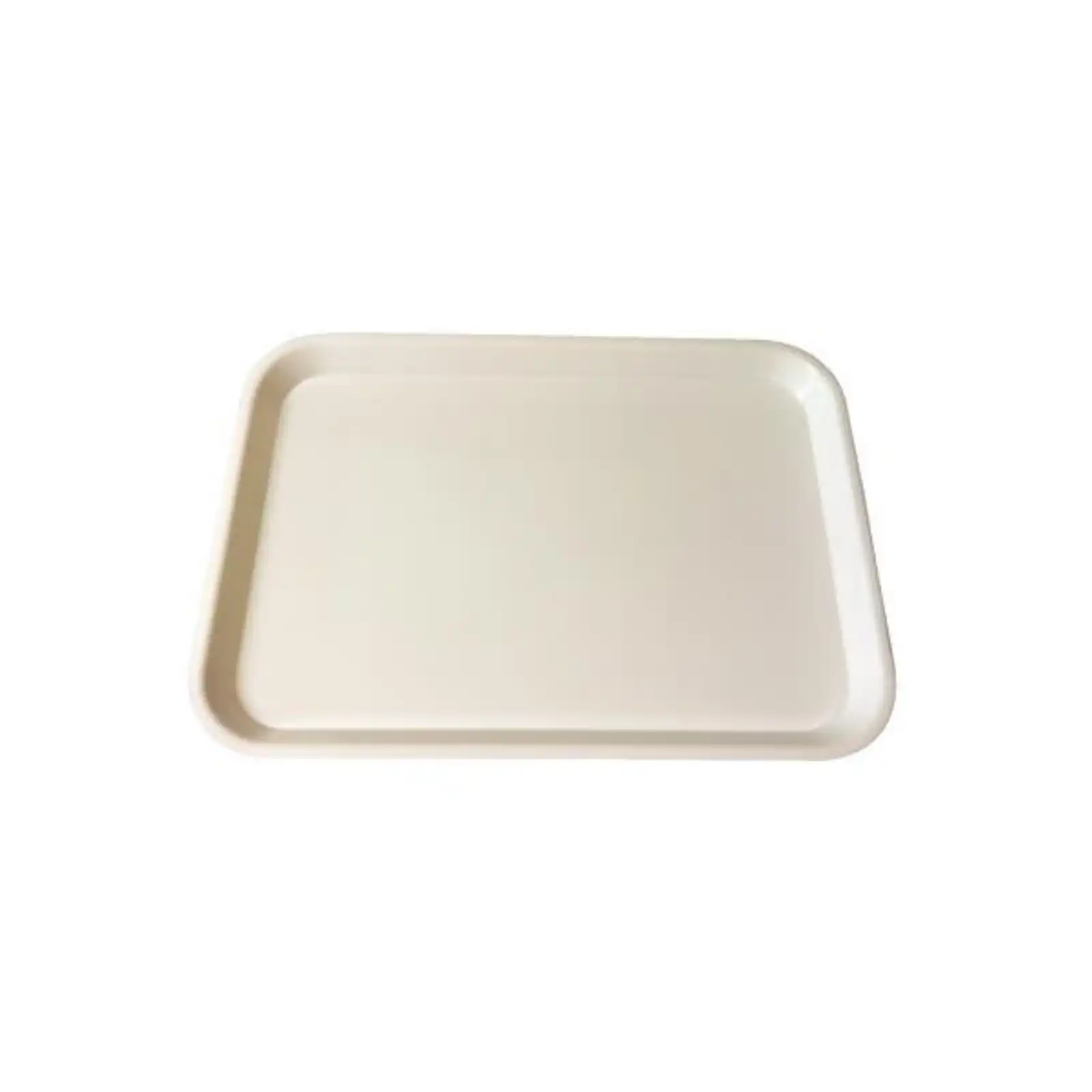 Plasdent Set-Up Plastic Flat Tray, Size E, White, 15" x 10-1/2" x 7/8", 1/Pk, 300EF-1 thumbnail 2